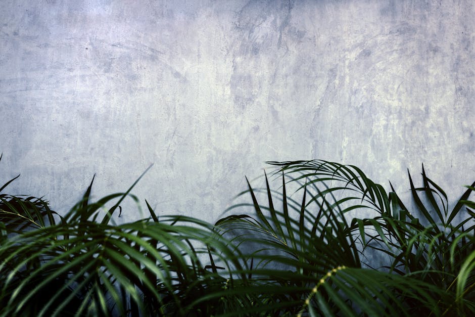 Vibrant green leaves in front of a textured gray concrete wall, offering a natural contrast.